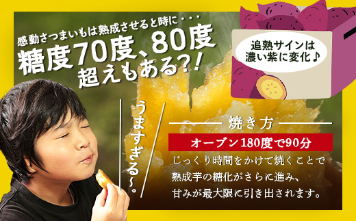 【鹿児島県産】 熟成 紅はるか 3kg (1箱 ) Sサイズ さつまいも【2025年11月下旬より順次発送】FR-211