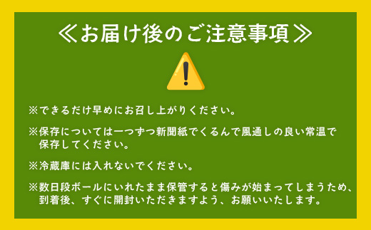 【鹿児島県産】熟成 紅はるか 5kg (1箱 ) Sサイズ さつまいも 【2025年11月下旬より順次発送】FR-212