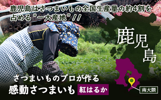 【冷凍焼芋】感動さつまいも 500g×3パック 熟成紅はるか FR-503 | サツマイモ 焼き芋 熟成芋 長期熟成 冷凍 スイーツ お菓子 甘い お中元 お歳暮 ギフト プレゼント 保存料不使用 鹿児島県 南大隅町 株式会社フォレスト