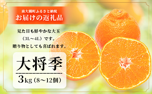 数量限定【先行予約・2025年12月～配送】大将季 約3kg (8～12個)  NT-504｜だいまさき 柑橘 みかん 果物 新鮮 産地直送 数量限定 先行予約 国産 鹿児島県 南大隅町