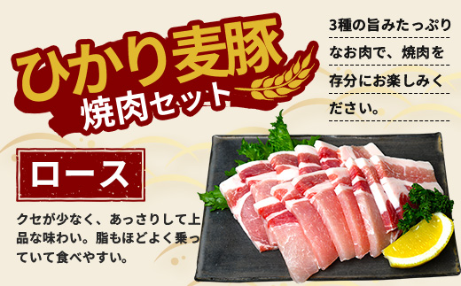 鹿児島県産 ひかり麦豚 しゃぶしゃぶ 焼肉 セット (300g×3パック) ≪計900g≫ ＋ 楽塩の粗びき塩こしょう HM-704 | 肉 お肉 にく 豚肉 ロース 肩ロース バラ肉 スライス 粗挽き 塩コショウ 冷凍 真空冷凍 産地直送 新鮮 小分け 甘み 鹿児島県 南大隅町 ひかり麦豚直売所