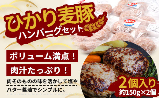 鹿児島県産 ひかり麦豚 手捏ねハンバーグ セット サイズ違い 大中小 ≪合計22個≫  HM-705 | 肉 お肉 にく 豚肉 絶品 ハンバーグ 添加物不使用 肉汁 ジューシー おかず お弁当 ロコモコ 冷凍 産地直送 小分け 鹿児島県 南大隅町 ひかり麦豚直売所