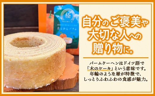 バウムクーヘン  ≪極≫ たんかん 直径約15cm SH-712 │ バウムクーヘン バームクーヘン スイーツ ケーキ 焼き菓子 洋菓子 お菓子 おかし おやつ デザート プレゼント 贈り物 ギフト 常温 鹿児島県 南大隅町 31℃LINE花子