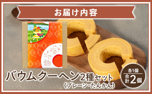 バウムクーヘン 2個セット ( プレーン ・ たんかん ) SH-714 ｜バウムクーヘン バームクーヘン スイーツ ケーキ 焼き菓子 洋菓子 お菓子 おかし おやつ デザート プレゼント 贈り物 ギフト 常温 鹿児島県 南大隅町 31℃LINE花子