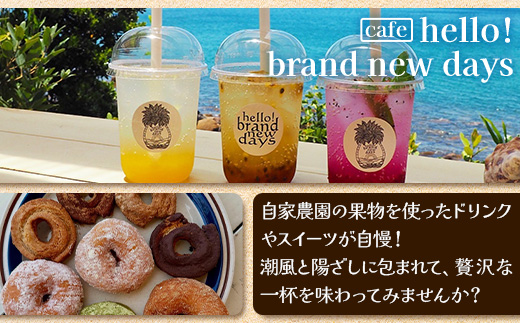 【本土最南端オーシャンビュー】 hello! brand new days ゲストハウス＆カフェ 利用チケット20,000円分 HB-701 │ 鹿児島県 南大隅町 オーシャンビュー 宿泊 旅行 ゲストハウス 古民家 リノベーション 貸切宿 1日1組限定 カフェ 海辺 自家農園 チケット hello! brand new days
