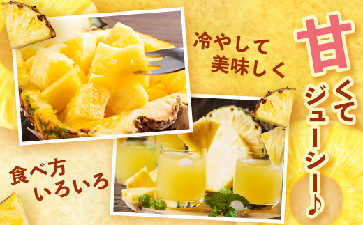 【先行予約・数量限定！】国産パイナップル　約3ｋg（3～5玉）～なか農園おまかせセット～ NK-001 ｜パイナップル パイン フルーツ 果物 くだもの 先行予約 数量限定 産地直送 新鮮 旬 ハワイ種 ピーチパイン ゴールドダイヤモンド ボゴール なか農園 鹿児島県 南大隅 