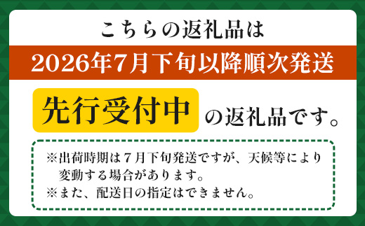 【先行受付】パイナップル/ボゴール種 (約800g×2玉) ≪2026年7月下旬以降順次発送≫ DS-004 ｜パイン パイナップル パインアップル フルーツ ボゴールパイン スナックパイン 産地直送 送料無料 鹿児島県 南大隅町 株式会社デラセーラ