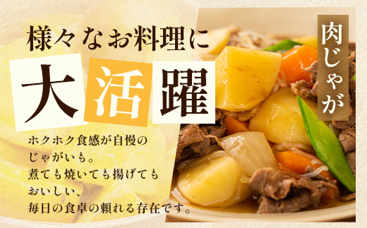 【先行予約】【B級品】(割れ) じゃがいも 馬鈴薯 (バレイショ) ≪2L～L≫ 約10kg×1箱 /ニシユタカ (約30個) ≪2026年3月20日頃より順次発送≫ CS-2 |  家庭用 南大隅町産 産地直送 旬 ポテト ジャガイモ ばれいしょ 新じゃが 春じゃが 春作 国産 鹿児島県 南大隅町 地域商社推進機構