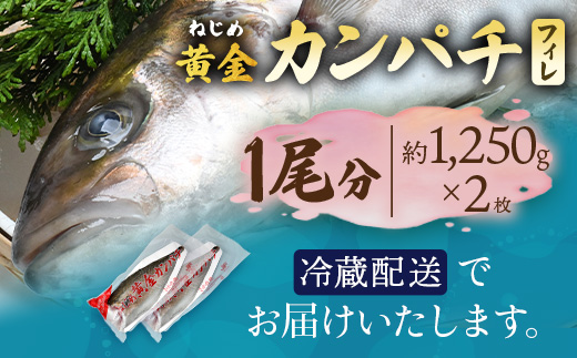 【配送日指定可能】鹿児島 ねじめ黄金カンパチ フィレ 1尾（約1,250g×2枚）冷蔵便 JF-506| 魚 直送 養殖 根占 さかな 身が引き締まった かんぱち 漁師 刺身 寿司 しゃぶしゃぶ ぷりぷり食感 鹿児島県 南大隅町 ねじめ漁業協同組合