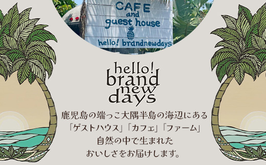 絶品！南大隅町産 パイナップルバター 1瓶 (160g×1個)｜パイナップル バター フルーツ ジャム 加工品 スプレッド 国産 南国フルーツ 手作り 鹿児島県  南大隅町 hello! brand new days　HB-1