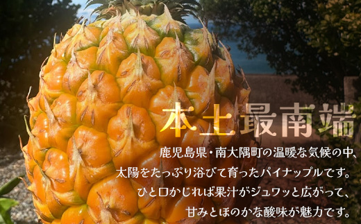 絶品！南大隅町産 【パイナップルバター】約160g× 2瓶 HB-3 ｜パイナップル バター フルーツ ジャム 加工品 スプレッド 国産 南国フルーツ 手作り 鹿児島県 南大隅町 hello! brand new days　