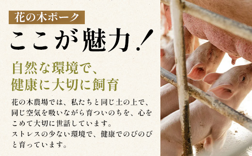 花の木農場 鹿児島県産 豚モモ しゃぶしゃぶ用 約1kg（500g×2パック）HK-11｜ 豚肉 モモ肉 もも肉 精肉 しゃぶしゃぶ スライス 冷凍 国産 お肉 冷しゃぶ 農福連携 鹿児島県 南大隅町 第2花の木ファーム