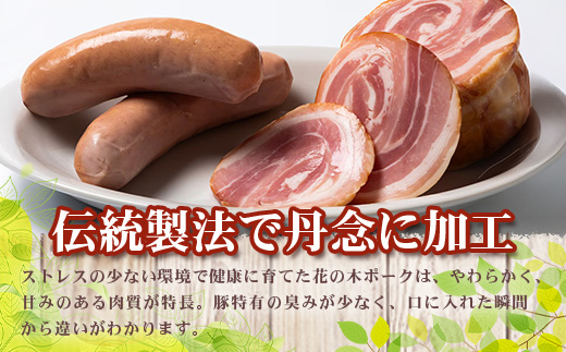 《全6回定期便》<2ヶ月に１回お届け> 花の木農場【ハム詰め合わせセット】7種 計1,000g HK-19│定期便 ハム ベーコン クラフトハム 人気 南大隅町 第2花の木ファーム ノウフク ソーセージ 詰め合わせ セット ウインナー 国産 厳選