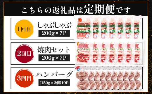 【定期便全3回】ひかり麦豚 プレミアム定期便 ≪月替わりでしゃぶしゃぶ・焼肉・ハンバーグをお届け！≫ 冷凍 HM-11 | 精肉 お惣菜 肉 お肉 にく 豚肉 焼き肉 バーベキュー ロース肉 肩ロース バラ肉  真空冷凍 産地直送 小分け パック 手作り 鹿児島県 南大隅町 ひかり麦豚直売所