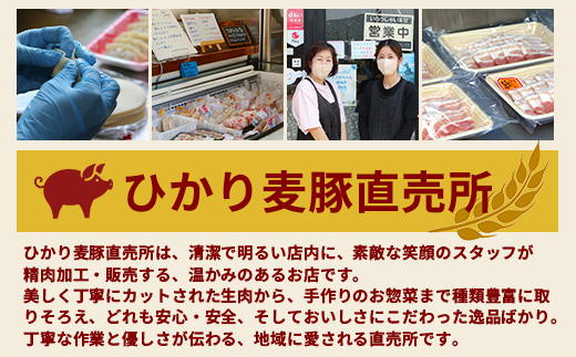 鹿児島県産 ＼＼ ひかり麦豚 ヒレかつ 計約1㎏ ／／ ≪200g×5パック≫ 衣つき トレーなし 冷凍 HM-7 | 肉 お肉 にく 豚肉 ヒレ肉 トンカツ 冷凍 解凍して揚げるだけ 加工品 真空冷凍 新鮮 小分け 産地直送 鹿児島県 南大隅町 ひかり麦豚直売所