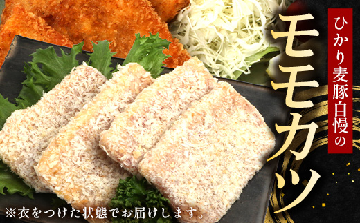 鹿児島県産 ひかり麦豚 モモかつ 計1.6kg （200g×8パック）衣つき トレーなし 冷凍 HM-8 | 肉 お肉 にく 豚肉 モモ肉 トンカツ 解凍して揚げるだけ 真空冷凍 新鮮 小分け 産地直送 鹿児島県 南大隅町 ひかり麦豚直売所