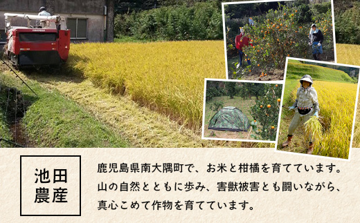 【先行予約】南大隅の太陽浴びた甘くて・おいしい ぽんかん 約5kg【2026年1月中旬以降順次発送】 ID-1 ｜ぽんかん ポンカン 柑橘 甘い 果物 新鮮 産地 直送 先行予約 おすすめ 人気 南大隅町