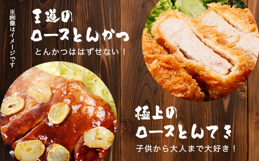 鹿児島県産 茶美豚 ロース セット とんかつ・トンテキ用 (300ｇ×3Ｐ) 計900g｜国産 豚肉 ぶた肉 精肉 茶美豚 ブランド肉 ロース 豚カツ トンテキ 冷凍 鹿児島県 南大隅町 JA-3