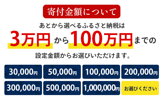 あとからセレクト【ふるさとギフト】10万円分 MN-20 │ 100000 鹿児島県 南大隅町 あとから選べる 返礼品 特産品 プラン 選べる返礼品 あとから選べる ギフト ギフトポイント 後から選ぶ カタログギフト