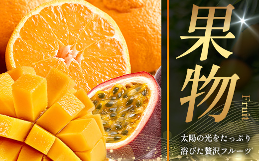 あとからセレクト【ふるさとギフト】20万円分 MN-21 │ 200000 鹿児島県 南大隅町 あとから選べる 返礼品 特産品 プラン 選べる返礼品 あとから選べる ギフト ギフトポイント 後から選ぶ カタログギフト