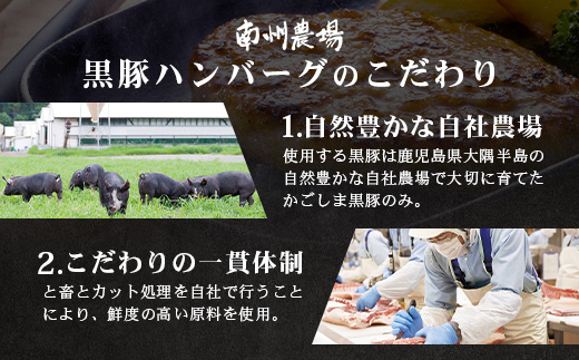 鹿児島県産 黒豚生ハンバーグセット（8個入）冷凍 NS-12 | 肉 お肉 豚肉 豚 にく ぶた かごしま黒豚 ハンバーグ おかず ジューシー 小分け ギフト おかず お弁当 国産 鹿児島県 南大隅町 南州農場