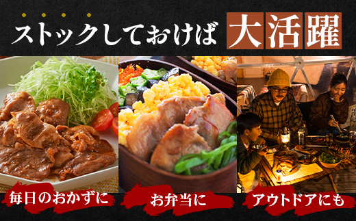 鹿児島県産 黒豚生姜焼きセット（100g×10パック）味付き肉 冷凍 NS-23 | 鹿児島 黒豚 かごしま黒豚 お肉 肉 豚肉 しょうが焼き 焼くだけ 味付き おかず お弁当 加工肉 真空パック 鹿児島県 南大隅町 南州農場