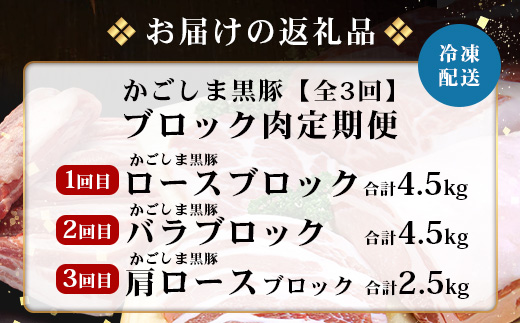 ［新春］≪全3回≫【南大隅町限定】食べ応え満点！ ★ かごしま黒豚 ブロック肉 定期便 ★ 鹿児島県産 NS-26 ｜ 肉 豚肉 ぶた 豚 ブタ 黒豚 鹿児島黒豚 ロース ブロック バラ 肩ロース バラブロック 肩ロースブロック ファミリー 業務用 産地直送 限定 鹿児島県 南大隅町 南州農場