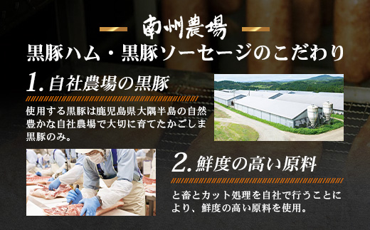 南州農場 黒豚熟成生ハム 4種食べ比べ セット 冷蔵 NS-9 | 国産 肉 お肉 豚肉 豚 にく ぶた かごしま黒豚 生ハム 最高峰 熟成ハム コッパ パンチェッタ コッホサラミ スパイス サラミ 詰め合わせ 産地直送 ギフト プレゼント 贈り物 鹿児島県 南大隅町
