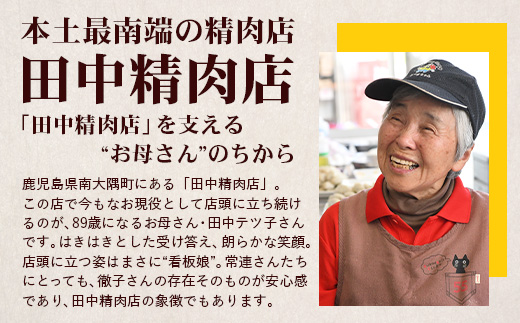 佐多の田中肉屋  ほくほく手作りコロッケ〈冷凍〉≪生・揚げるだけ≫ (5個入り×5パック) | コロッケ じゃがいも 玉ねぎ 惣菜 手作り おかず 揚げるだけ 冷凍 産地直送 鹿児島県 南大隅町 田中精肉店　TA-3