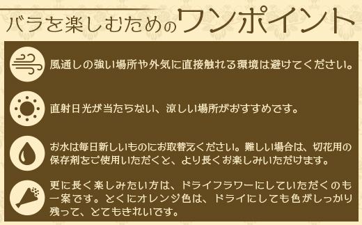 【人気の春・冬薔薇をお届け】 ばら農家直送 ！ バラ花束15本以上お届け(黄系) 【ギフト対応可】 ≪2026年1月1日～8日 日付指定不可≫ TB-11│ローズ 新鮮 花 フラワー 花束 ばら 薔薇 バラ 誕生日 記念日 結婚祝い ギフト プレゼント お祝い 贈り物 贈答 鹿児島県 南大隅町 富田バラ園