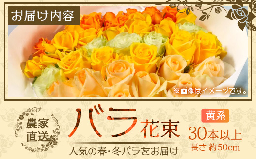 【人気の春・冬薔薇をお届け】 ばら農家直送 ！ バラ花束30本以上お届け(黄系) 【ギフト対応可】 ≪2026年1月1日～8日 日付指定不可≫ TB-15 │ ローズ 新鮮 花 フラワー 花束 ばら 薔薇 バラ 誕生日 記念日 結婚祝い ギフト プレゼント お祝い 贈り物 贈答 鹿児島県 南大隅町 富田バラ園