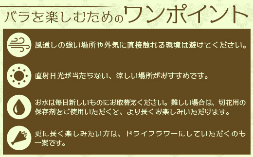 【人気の春・冬薔薇をお届け】 ばら農家直送 ！ バラ花束30本以上お届け(色はおまかせ) 【ギフト対応可】 ≪2026年1月1日～8日 日付指定不可≫ TB-16 │ ローズ 新鮮 花 フラワー 花束 ばら 薔薇 バラ 誕生日 記念日 結婚祝い ギフト プレゼント お祝い 贈り物 贈答 鹿児島県 南大隅町 富田バラ園