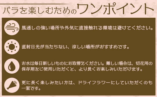 【数量限定・ギフト】ばら農家直送！深紅の薔薇20本お届け  ≪2026年1月1日～8日 日付指定不可≫ TB-17│ローズ 新鮮 バラ 花 フラワー 花束 ばら 薔薇 誕生日 記念日 結婚祝い プロポーズ ギフト プレゼント お祝い 贈り物 贈答 鹿児島県 南大隅町 富田バラ園