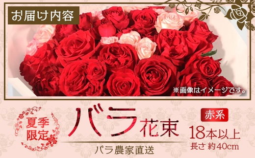 【先行予約・夏季限定 薔薇】ばら農家直送！バラ花束18本以上お届け(赤系) 【ギフト対応可】TB-1│ローズ 新鮮 花 フラワー 花束 ばら 薔薇 バラ 誕生日 記念日 結婚祝い ギフト プレゼント お祝い 贈り物 贈答 鹿児島県 南大隅町 富田バラ園