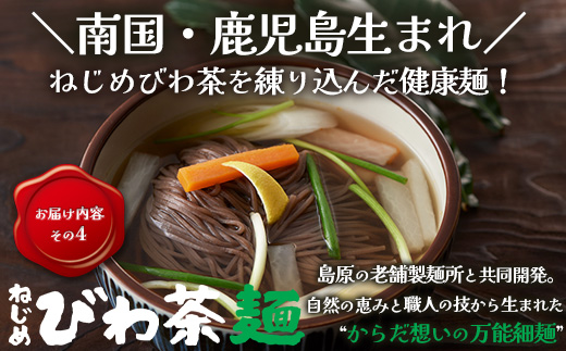 【福袋】ねじめびわ茶うれしい満喫セット（５種）化粧箱入 TO-20-FB| ねじめ びわ茶 ボトル缶 国産 大容量 トルマリン石 焙煎 健康茶 お茶 煮だし 飲みやすい 香ばしい おいしい びわの葉 福袋 セット 飲み比べ 鹿児島県 南大隅町 十津川農場