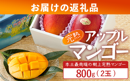 ≪先行予約・数量限定≫ ☆本土最南端☆佐多の果樹園で育てた 完熟アップルマンゴー 約800g ( 2玉 ) 【2026年7月上旬以降順次発送】 ST-406 ｜鹿児島県 南大隅 産地直送 旬 マンゴー フルーツ 果物 くだもの 