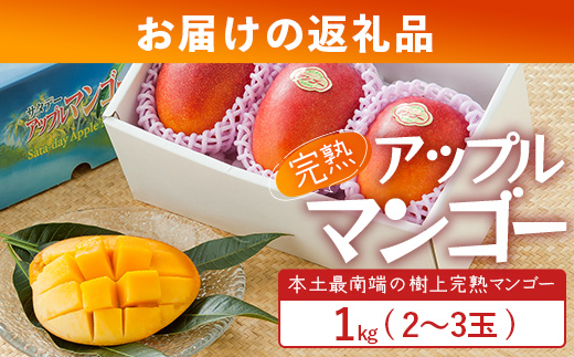 ≪先行予約・数量限定≫ ☆本土最南端☆佐多の果樹園で育てた 完熟アップルマンゴー 約1kg (2～3玉) 【2026年7月上旬以降順次発送】｜鹿児島県 南大隅 産地直送 旬 マンゴー フルーツ 果物 くだもの  ST-7407