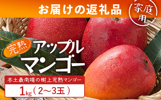 ≪先行予約・数量限定≫【訳あり】 ☆本土最南端☆佐多の果樹園で育てた 完熟アップルマンゴー約1kg (2～3玉) 家庭用【2026年7月上旬以降順次発送】 ST-409 ｜鹿児島県 南大隅 産地直送 旬 マンゴー フルーツ 果物 くだもの 