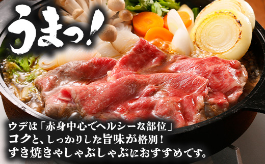 【鹿児島黒牛】ウデ スライス セット 約300g×2P JA-002 | 国産 国産牛 鹿児島県 牛肉 黒牛 黒毛和牛 和牛 ウデ スライス すき焼き しゃぶしゃぶ 冷凍 産地直送 南大隅町 JA鹿児島きもつき