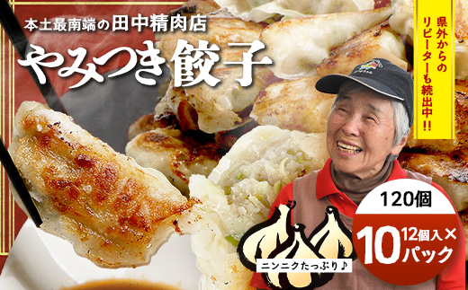 《リピーター続出！》佐多の田中肉屋 ニンニクたっぷりやみつき餃子 120個（12個入り×10パック） 餃子のタレ付き TA-402 | ぎょうざ 餃子 ギョウザ 豚肉 ひき肉 にんにく スタミナ餃子 焼くだけ 簡単 小分け 大容量 手作り お惣菜 おかず 冷凍 鹿児島県 南大隅町 田中精肉店