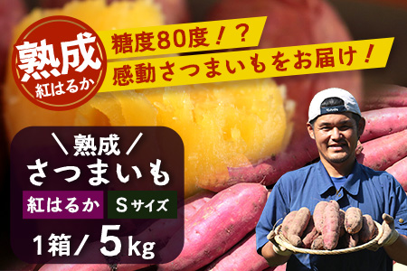 【鹿児島県産】熟成 紅はるか 5kg (1箱 ) Sサイズ さつまいも 【2025年11月下旬より順次発送】FR-212