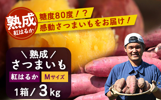 【先行予約・2025年11月下旬より順次発送】鹿児島県産 熟成 紅はるか 3kg (1箱 ) Mサイズ (おすそ分け袋／美味しい焼き芋の焼き方 説明書付き） FR-213 | さつまいも サツマイモ 焼き芋 べにはるか おやつ 煮物 芋ごはん 味噌汁 鹿児島県 南大隅町 株式会社フォレスト
