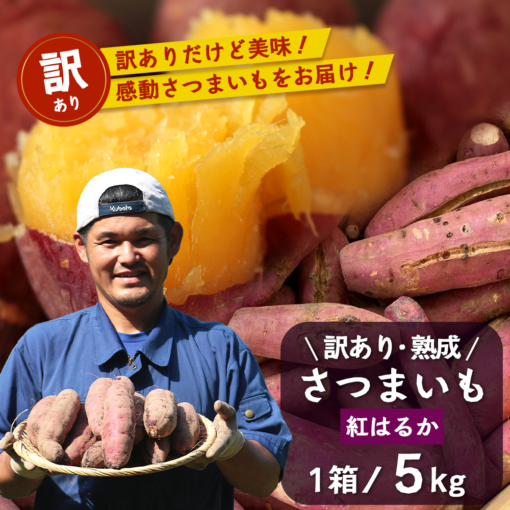 【訳あり】【先行予約・2025年11月下旬より順次発送】鹿児島県産 熟成 紅はるか 5kg (1箱 ) Sサイズ (おすそ分け袋／美味しい焼き芋の焼き方 説明書付き） FR-217 | さつまいも サツマイモ 焼き芋 べにはるか おやつ 煮物 芋ごはん 味噌汁 鹿児島県 南大隅町 株式会社フォレスト 訳あり