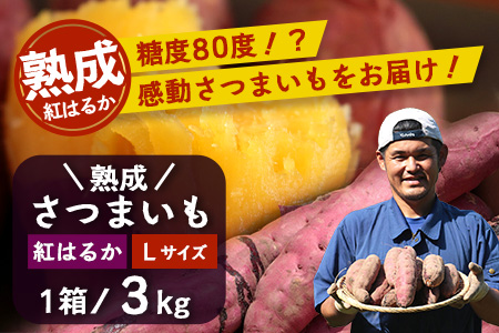 【鹿児島県産】熟成 紅はるか 3kg (1箱 ) Lサイズ 感動さつまいも　FR-531