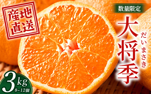 数量限定【先行予約・2025年12月～配送】大将季 約3kg (8～12個)  NT-504｜だいまさき 柑橘 みかん 果物 新鮮 産地直送 数量限定 先行予約 国産 鹿児島県 南大隅町