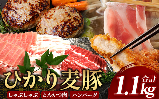 【ふるさと納税】鹿児島県産 ひかり麦豚【しゃぶしゃぶ 食べ比べ + とんかつ肉 + ハンバーグ】セット ≪合計1.1kg≫ HM-702  | 肉 お肉 にく 豚肉 ロース 肩ロース バラ肉 スライス 冷凍 産地直送 新鮮 送料無料 鹿児島県 南大隅町