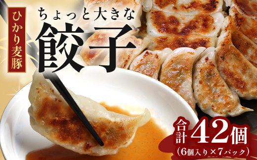 鹿児島県産 ひかり麦豚 ＼＼ちょっと大きな  餃子 42個セット／／ HM-707 | ぎょうざ ギョウザ 食べ応え抜群 焼き餃子 水餃子 おかず お弁当 冷凍 産地直送 鹿児島県 南大隅町 ひかり麦豚直売所