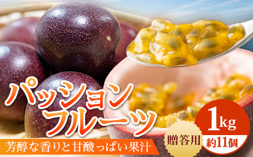 【2026年先行予約】贈答用パッションフルーツ1kg ( 約11個 )濱田農園 ｜先行予約 産地直送 新鮮 パッション フルーツ 南大隅町 果物 果実 ギフト プレゼント濱田農園 贈答用 人気 南国フルー｜HB-706