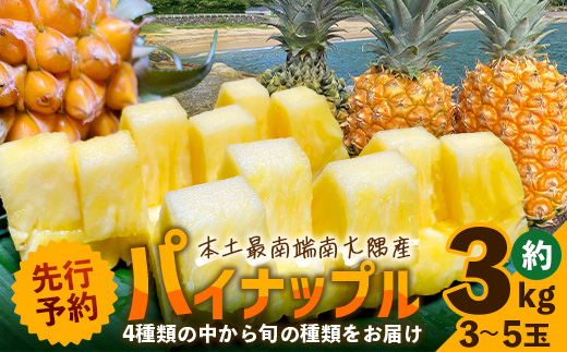 【先行予約・数量限定！】国産パイナップル　約3ｋg（3～5玉）～なか農園おまかせセット～ NK-001 ｜パイナップル パイン フルーツ 果物 くだもの 先行予約 数量限定 産地直送 新鮮 旬 ハワイ種 ピーチパイン ゴールドダイヤモンド ボゴール なか農園 鹿児島県 南大隅 
