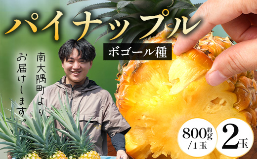 【先行受付】パイナップル/ボゴール種 (約800g×2玉) ≪2026年7月下旬以降順次発送≫ DS-004 ｜パイン パイナップル パインアップル フルーツ ボゴールパイン スナックパイン 産地直送 送料無料 鹿児島県 南大隅町 株式会社デラセーラ